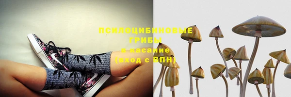 гидра Михайловск