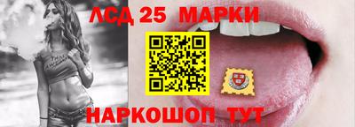 2c-b Камышлов