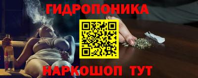 2c-b Камышлов