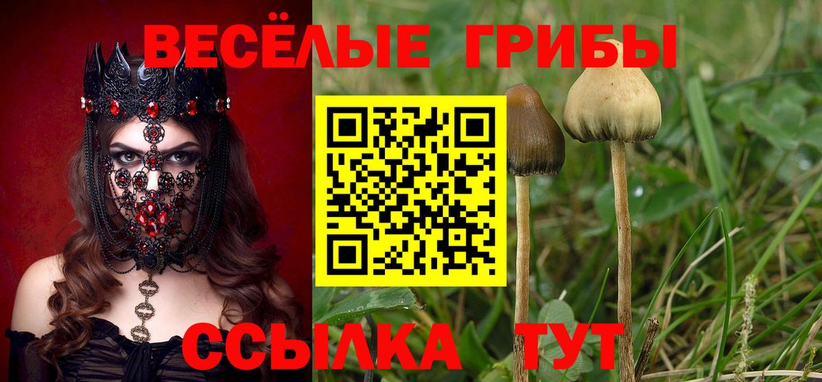 Карасук  Галлюциногенные грибы Cubensis  Вход с VPN  Псилоцибиновые грибы Psilocybe 