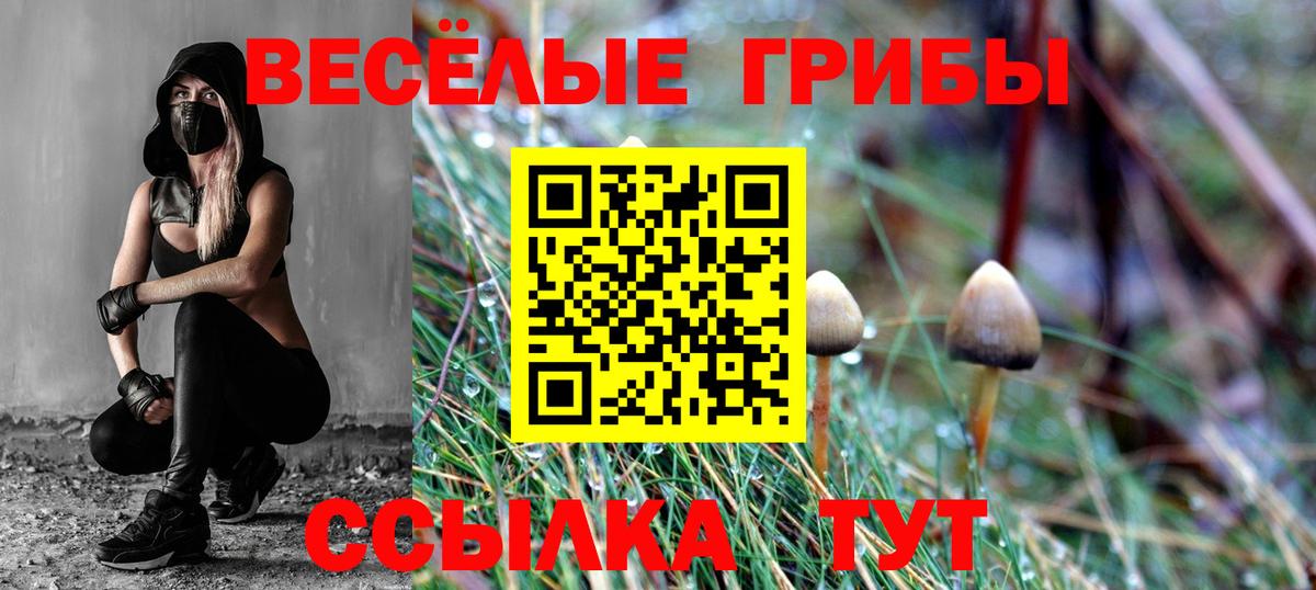 Галлюциногенные грибы MAGIC MUSHROOMS  Галлюциногенные грибы Psilocybine cubensis  Карасук 