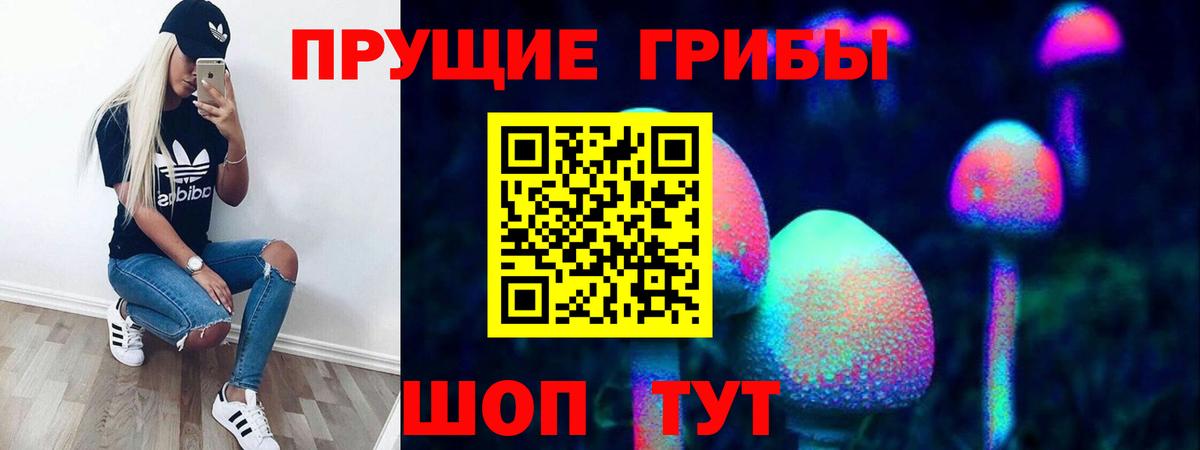 Псилоцибиновые грибы Cubensis Карасук